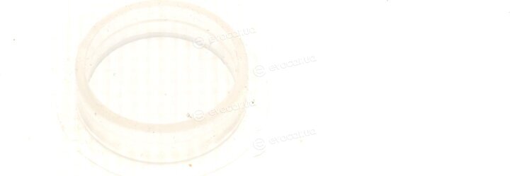 Valeo 890009