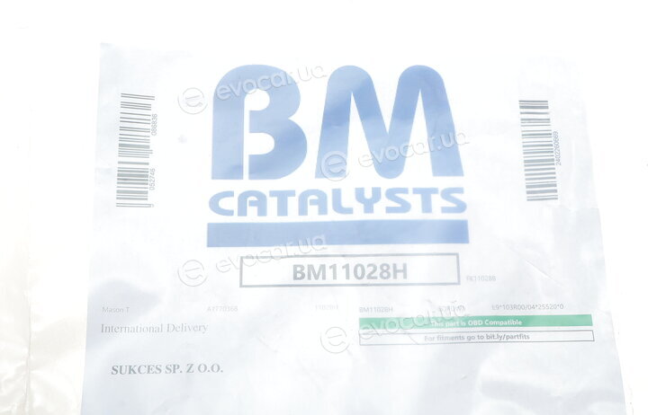 BM Catalysts BM11028H