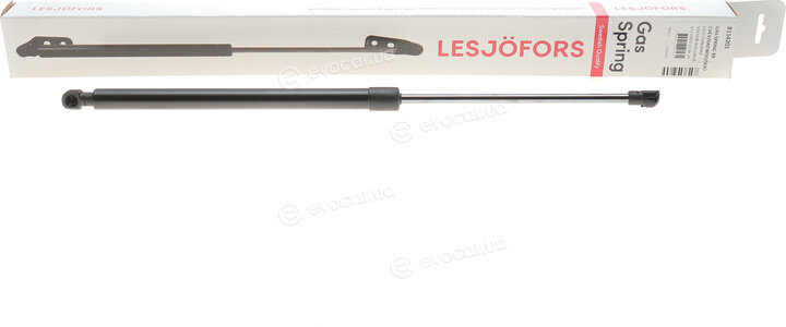 Lesjofors 8114201