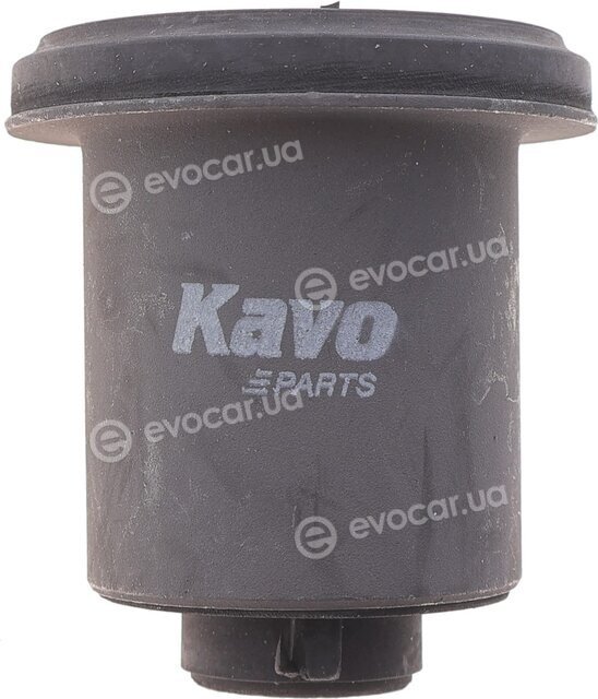 Kavo SCR-5579