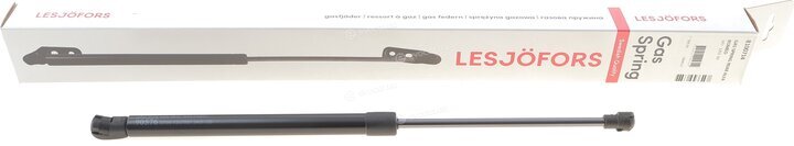 Lesjofors 8100714
