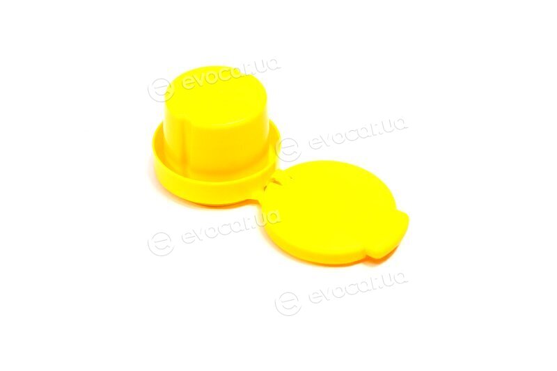 Renault / Nissan 289135972R