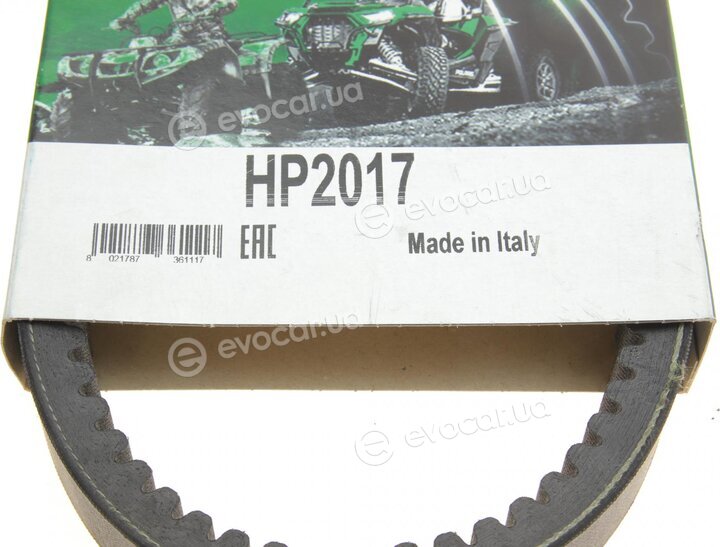 Dayco HP2017