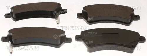 Triscan 8110 13058