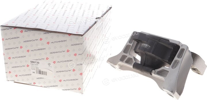 Hutchinson 586720
