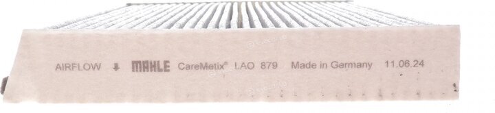 Mahle LAO 879