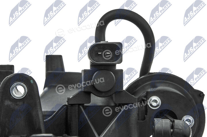 NTY BKS-VW-018