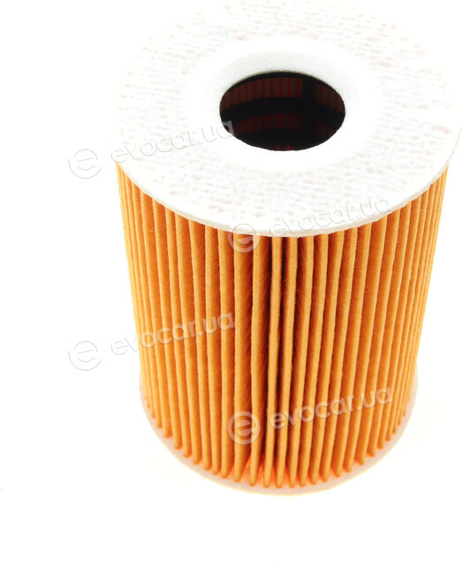 Mahle OX 254D3