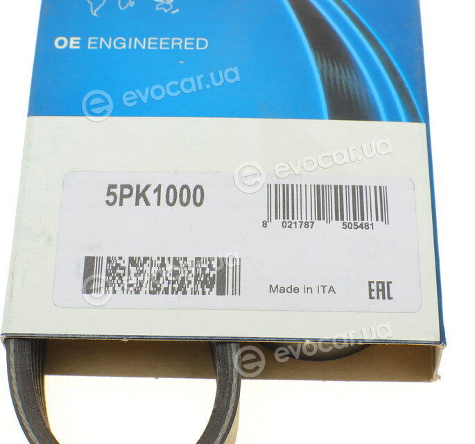 Dayco 5PK1000