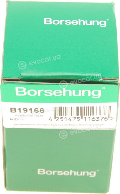 Borsehung B19166