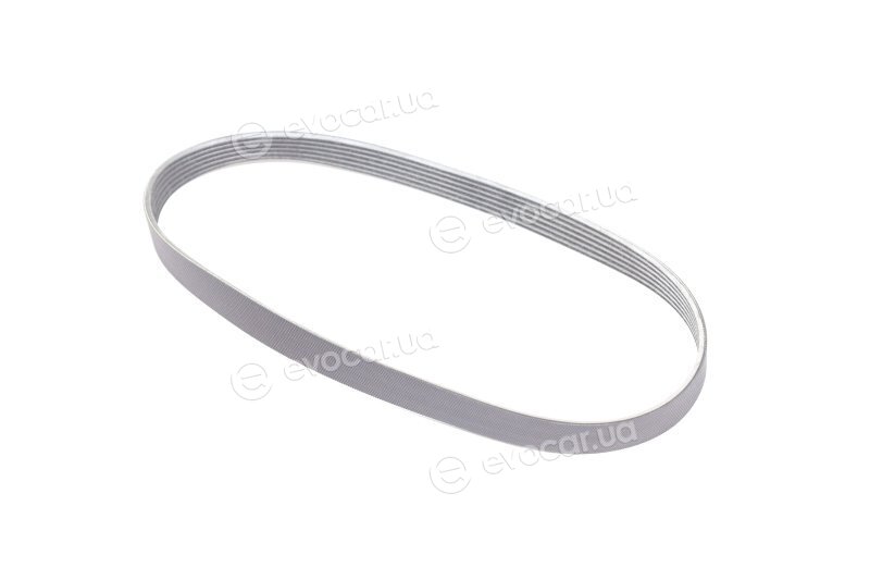 Gates 6PK803EST