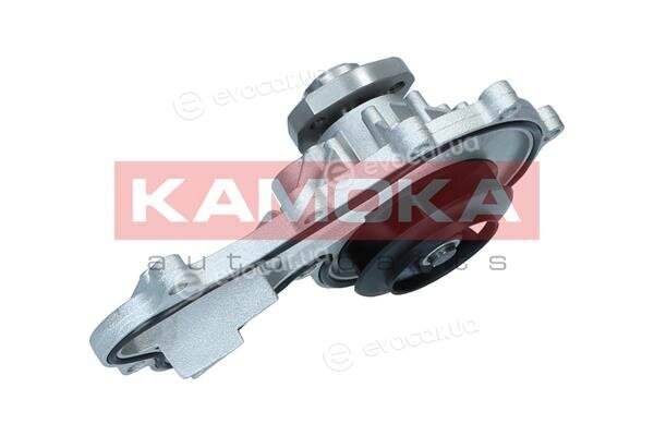 Kamoka T0317