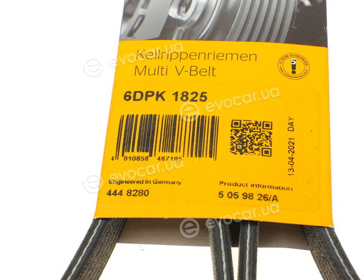 Continental 6DPK1825