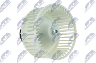 NTY EWN-NS-004
