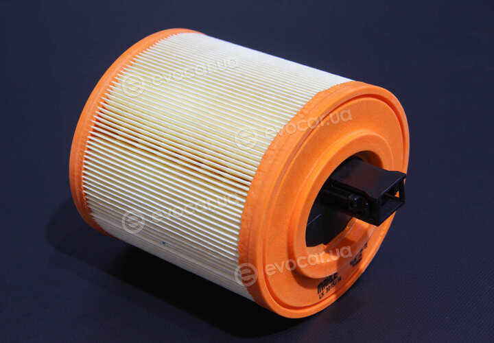 Mahle LX 3015/14
