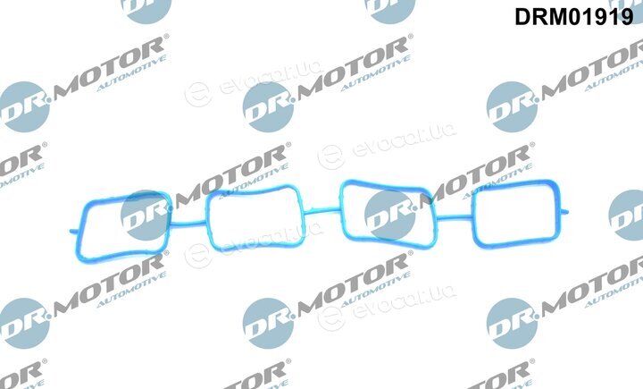 Dr. Motor DRM01919