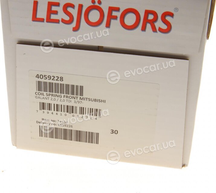 Lesjofors 4059228