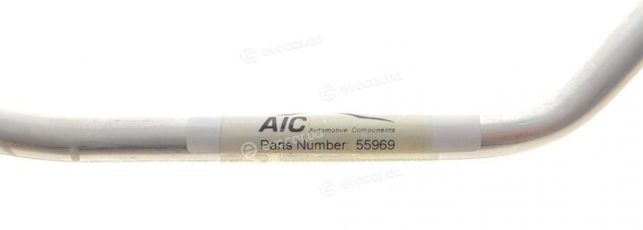 AIC 55969