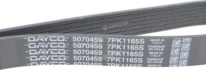 Dayco 7PK1165S