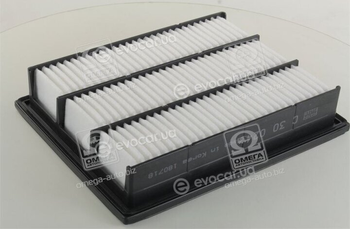 Mann C 30 024