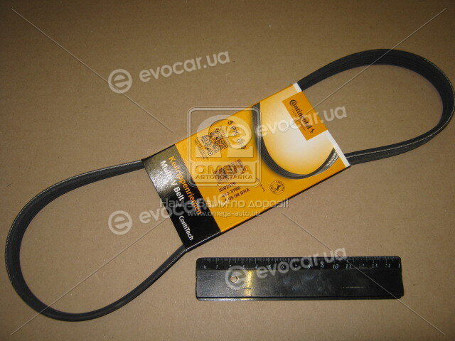 Continental 5PK860