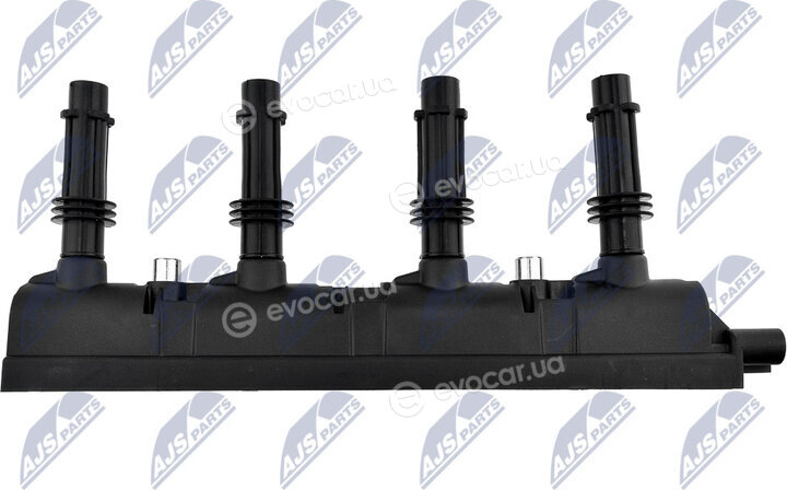 NTY ECZ-PL-002