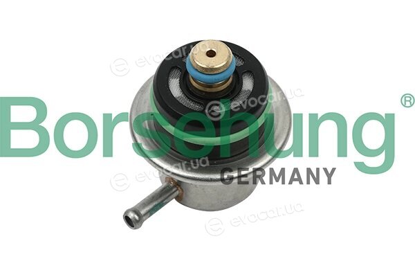 Borsehung B13669