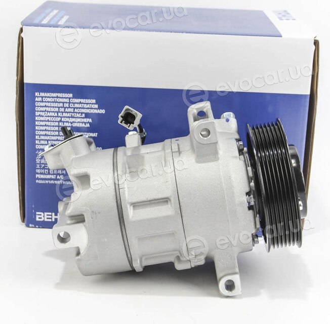 Mahle ACP 954 000S
