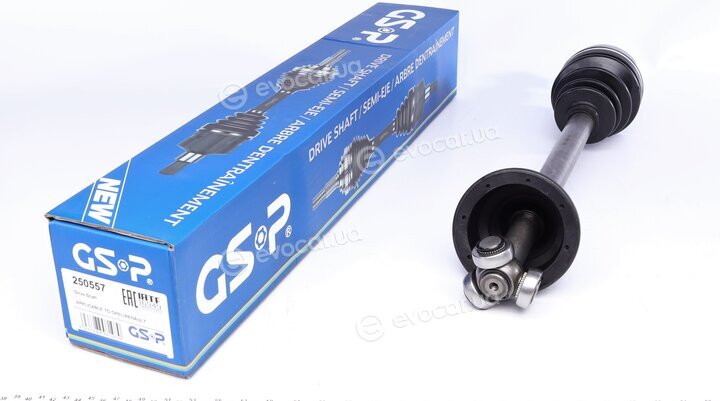 GSP 250557