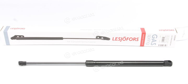 Lesjofors 8195048