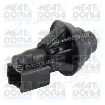 Meat & Doria 206135