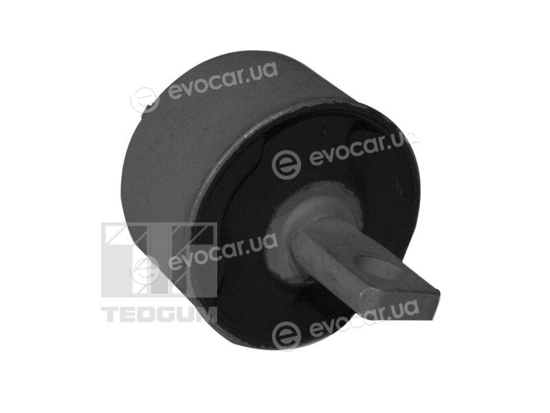 Tedgum 00449020