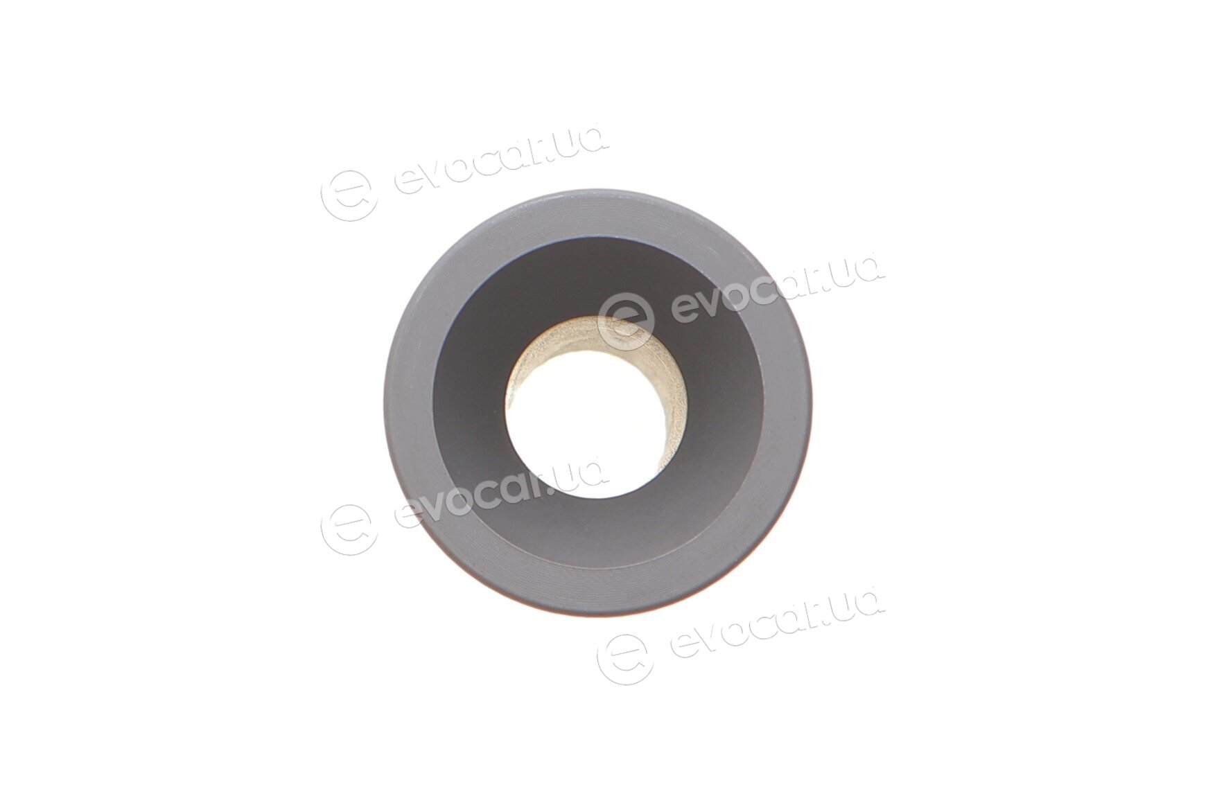 Mahle 001 PI 00106 002