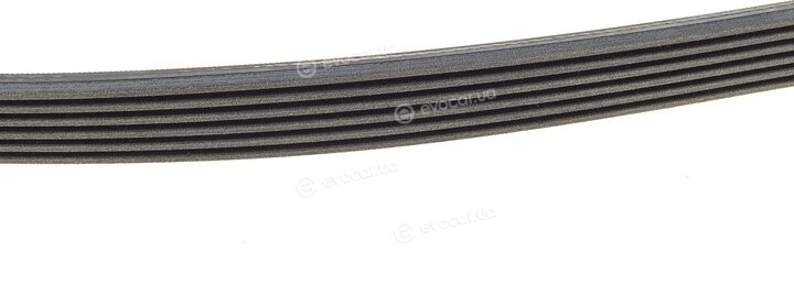 Continental 6PK1432