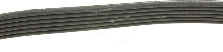 Dayco 6PK780