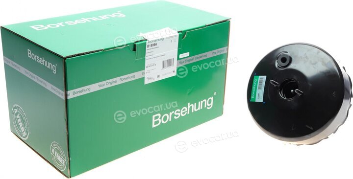 Borsehung B15996