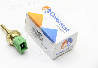 Vernet / Calorstat WS2590