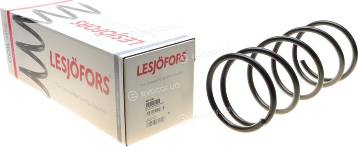 Lesjofors 4062043