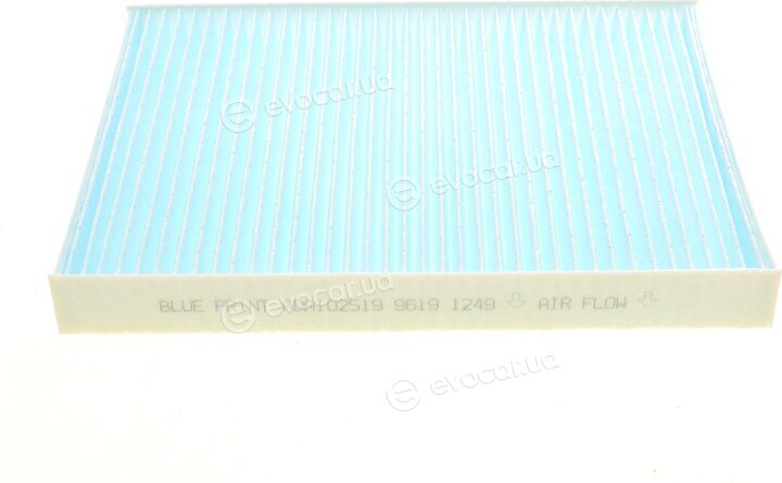 Blue Print ADA102519