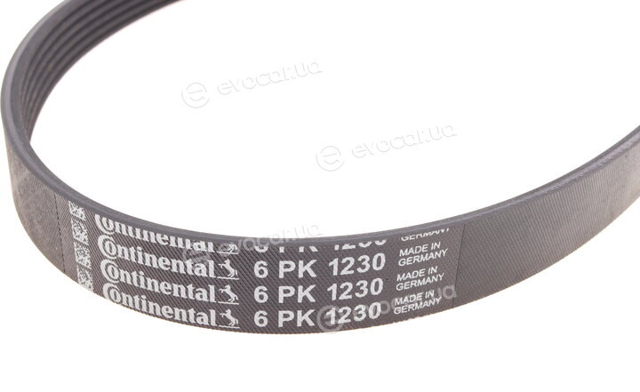 Continental 6PK1230