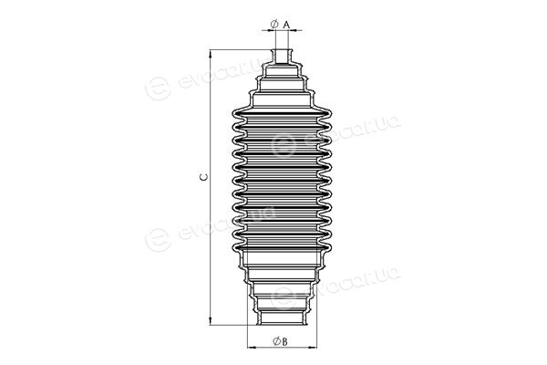 Tedgum TED90519