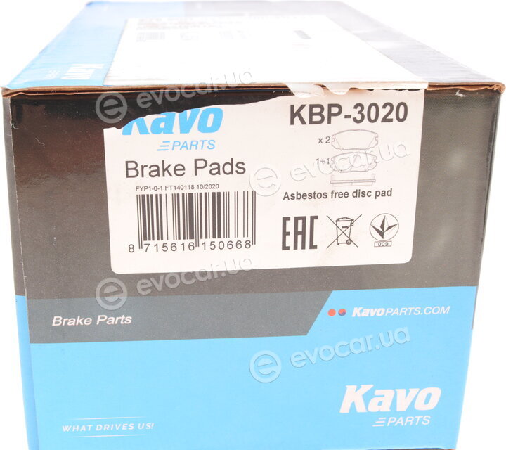 Kavo KBP-3020