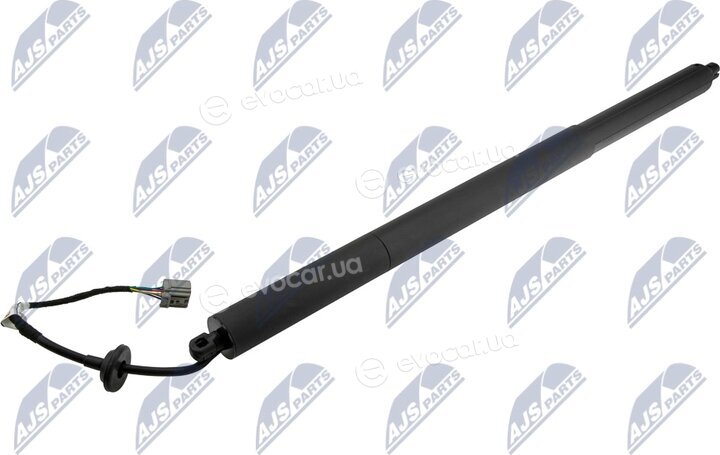 NTY AE-CH-049