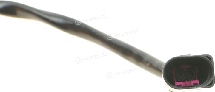 Solgy 115068