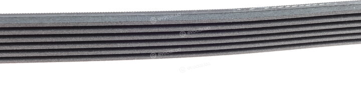 Continental 6PK2563