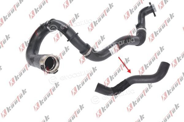 Kautek CH-TH022