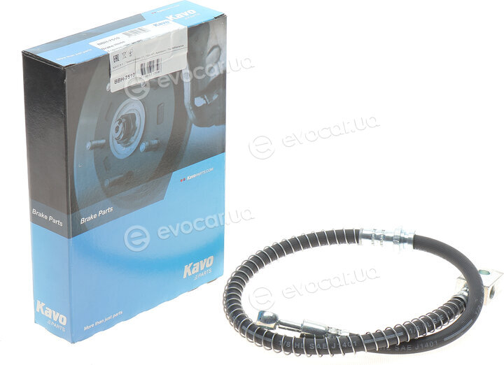 Kavo BBH-7510