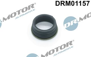 Dr. Motor DRM01157