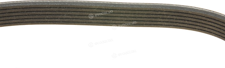 Dayco 6PK1030