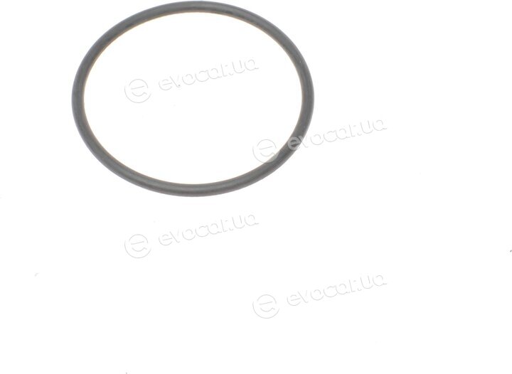 Blue Print ADG02158
